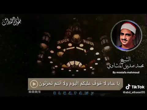 يا عباد لا خوف عليكم حالة واتس المنشاوي