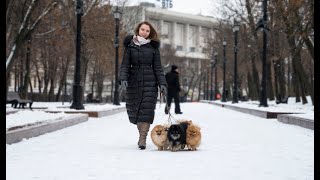 Gurus Del Perros - о питомнике и померанцах
