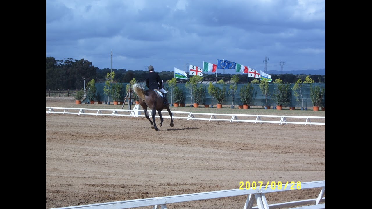 46° Premio Regionale di Allevamento