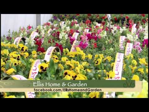 Ellis Home And Garden Youtube