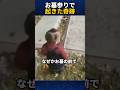 娘に不思議な事が起こりました