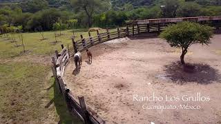 Rancho Los Grullos San Miguel de Allende