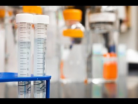 KTF News - China Confirms Scientist Genetically Engineered Babies