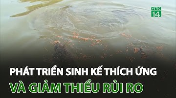 Phát triển sinh kế thích ứng và giảm thiểu rủi ro thiên tai tại cộng đồng | VTC14