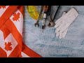 NEWS - CHUYÊN GIA TRANH LUẬN VỀ HỦY BỎ C/TRÌNH TFW (2) NOVA SCOTIA BẢO VỆ Y ĐỘC CẦN  PP SINH HỌC NTN