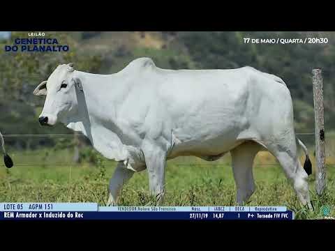 LOTE 05   AGPM 142   151