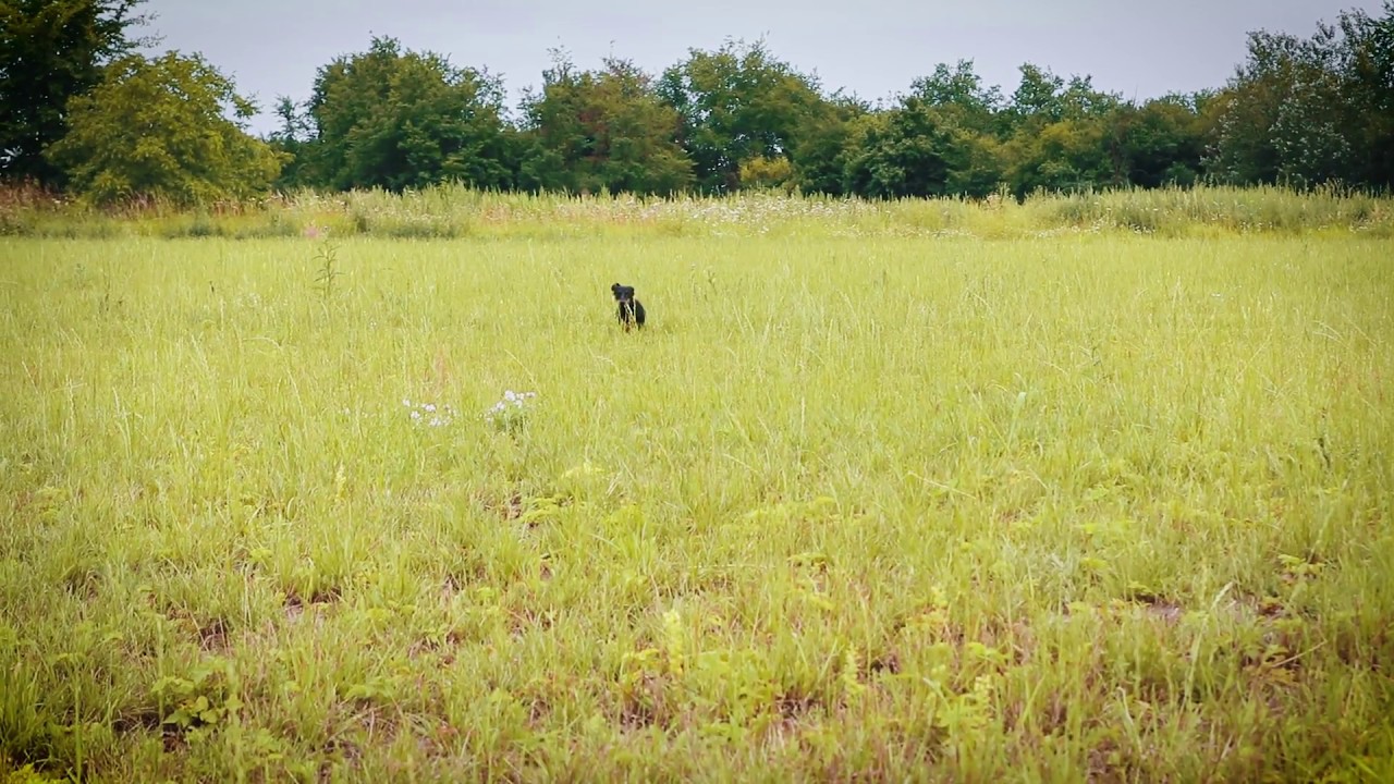 ❌ FEZEN 20 - BEJGLI❌