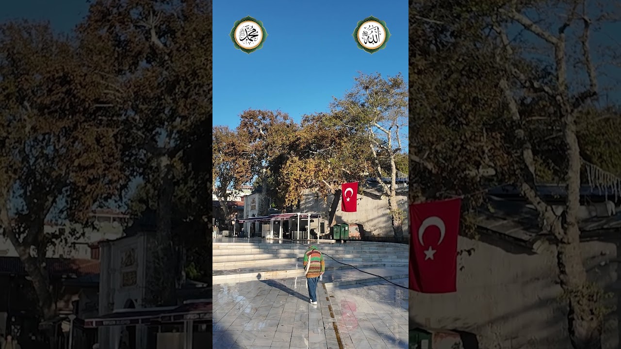 Benim Tacım Medine'de (Salat Selam Muhammed'e)