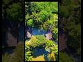 natural drone view #shorts #nature #dronevideo #droneview
