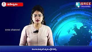 Mla Sabita Indra Reddy Conducted A Review On The Beautification Works Of The Ponds Sree Channel Cable Tv News