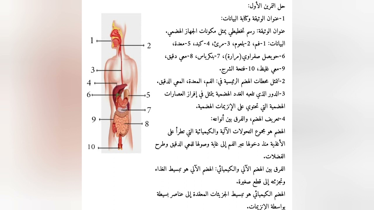 تمارين حول الجهاز الهضمي والغدد الملحقة مقطع التغذية عند الإنسان رابعة متوسط