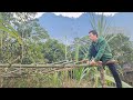 Trieu Khang renovated the village road and tidied up the garden in his hometown.