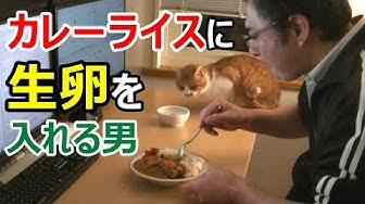 生卵 Youtube