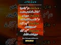 ذوالحج کا 8دن #shortsvideo #trendingshorts #youtubeshorts #motivation #shortscontent #shortscreator
