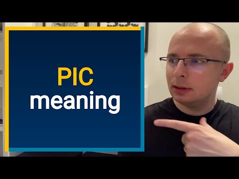 What does PIC mean? Find out Definition and Meaning