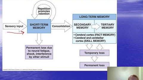 CH 16: Autonomic Reflexes and Higher Order Functions