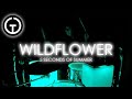 Wildflower - 5 Seconds of Summer (Light Up Drum Cover)