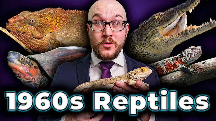 1960s Reptiles You Never See Anymore | Where Are T...