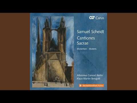 Schwemmer: Die Stimme
