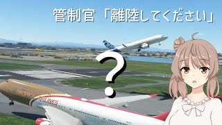 指示に従うという事は、滑走路に飛行機がいても離陸するという事です【MSFS】 screenshot 5
