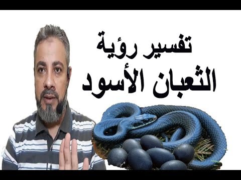 الحلم بالثعبان الاسود لابن سيرين