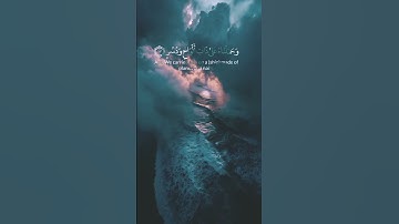 اكتب شئ تؤجر عليه ♥️🎧   #سورة_البقرة #سورة_آل_عمران #سورة_الكهف #سورة_الرحمن #سورة_الزمر