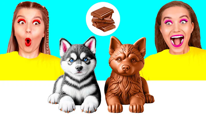 Real Food vs Chocolate Food Challenge | Food Battle by DaRaDa Challenge