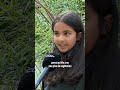 Végétaliser l'école contre le réchauffement et pour le plaisir des petits et grands - #RTBF #shorts