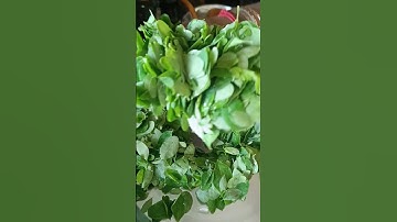 Minivlog as on 7/4😀#minivlog#routinevlog#youtubeshorts#threadsandvlog#shorts#vlog#vlogs#tastyrecipes