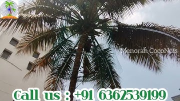Coconut Tree Safety Nets in Bangalore | Coconut Safety Net | Menorah CocoNets | Call - 6362539199 📲