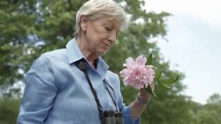 Marjolein Bastin Working With Hallmark