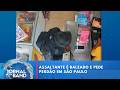 Assaltante é baleado e pede perdão em São Paulo | Jornal da Band