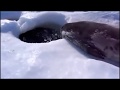 Fibsh | seal