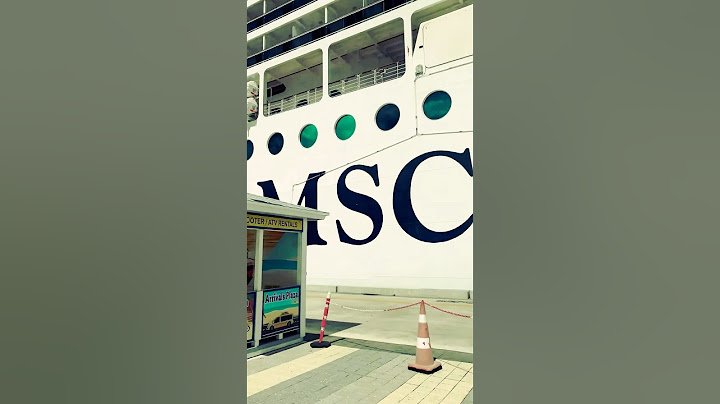 Take it’s Easy it’s ||Cruise Line|| #travel || #tesla #elonmusk