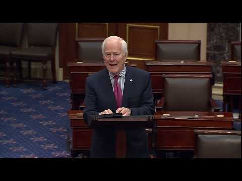 John Cornyn's Senate Speech on Russia-Ukraine Conflict and President Trump's Peace Efforts