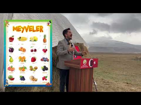 Vitaminler nedir