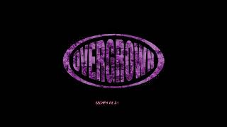 Overgrown - waiting room / sala de espera / subtitulos en español - traducción al español