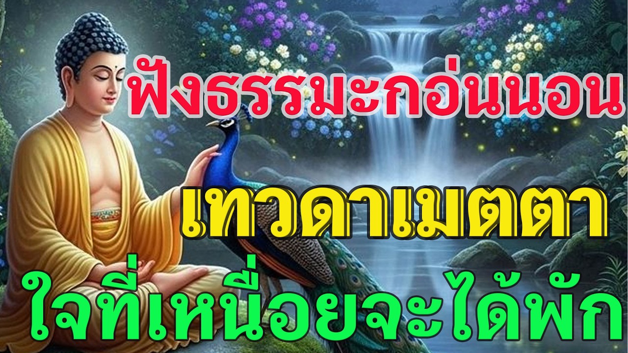 ฟังธรรมะกอ่นนอน เทวดาเมตตา ใจที่เหนื่อยจะได้พัก