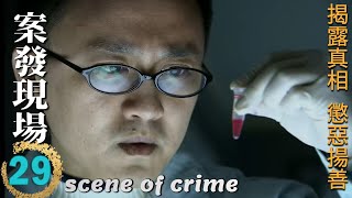 Scene of Crime Ep29 Wang Zhifei & Yan Shikui decrypt a shocking case together!Who's the real culprit