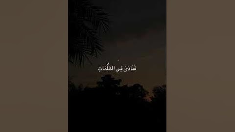 آيات بينات من سورة الأنبياء لقارئ هيثم الدخين