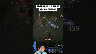 When you see a SHAKO drop in Diablo 4