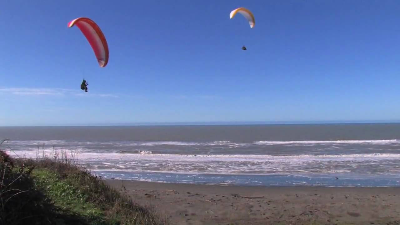 Love Humboldt long cut