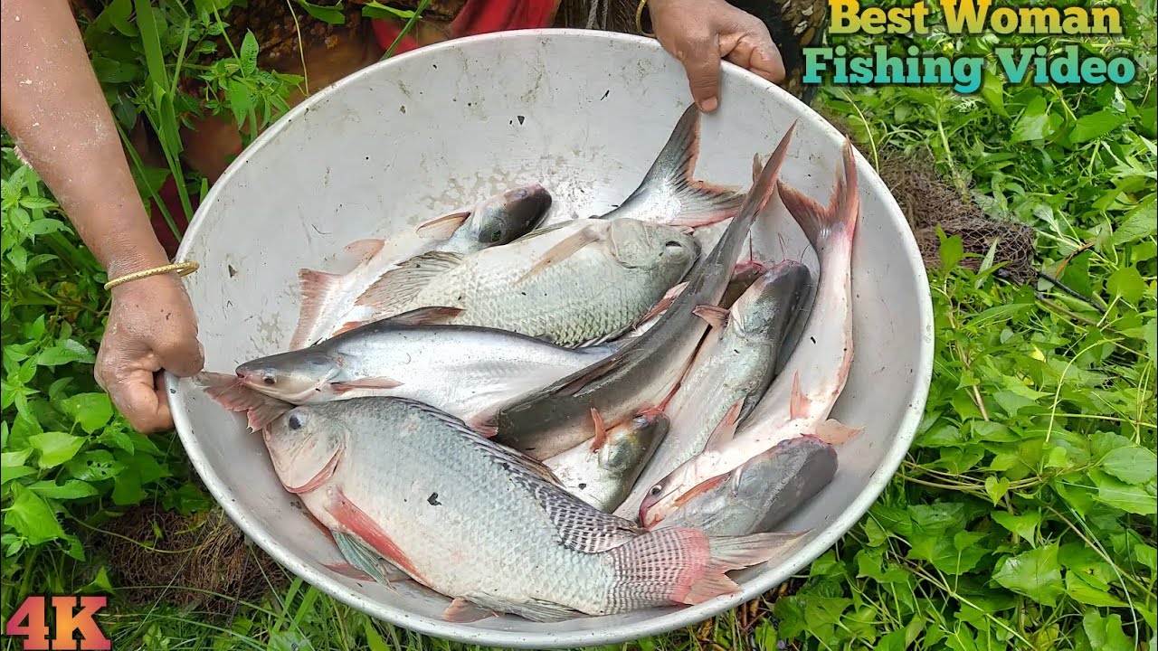 Village lady fishing with cast net fishing - Best woman fishing video - amazon fishing 