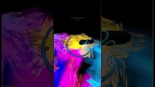 Você conhece o App Figmin XR. #figminxr #multibrush #vr #artwork