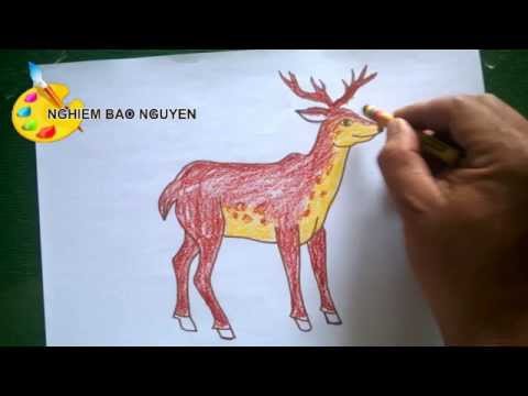Video Vẽ con Hươu/How to Draw Deer - youtube