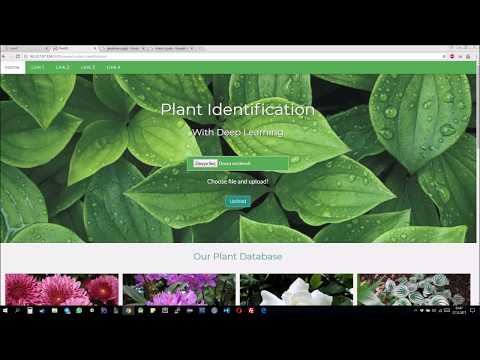 machine learning plant identification