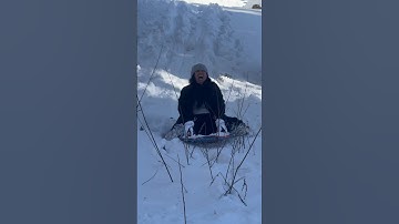 Sledding in #bigbearmountain  🐻 #sledding #snow #funnyvideo #comedy