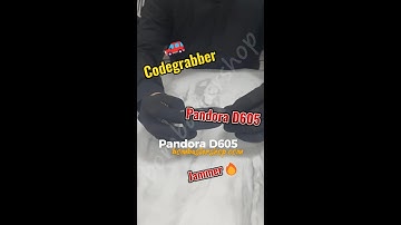 Pandora D605 Code Grabber Review and User Guide: Comprehensive Walkthrough and Menu Navigation