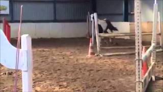 Download Lagu Handsome  3y/o Andretti x Gribaldi x Samber MP3