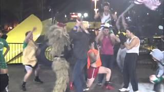 Harlem Shake Gets Weird, Quad Cities